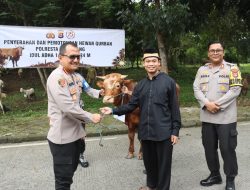 Polresta Tangerang Salurkan Bantuan Hewan Kurban, 18 Ekor Sapi dan 49 Kambing