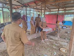 Hj Nena Kepala Desa Kadu Jaya Bantah Selewengkan ADD Kegiatan Budidaya Belut, Itik, Lele, dan Ayam