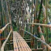 Warga Baduy Bangun Jembatan Bambu, Jaga Kearifan Ditengah Gempuran Budaya Luar
