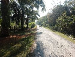 Jalan Hubungan Puskesmas cot Seumereung Didambakan Pengaspalan